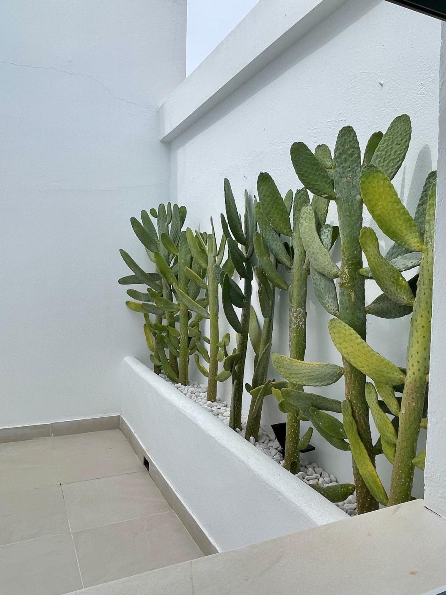 H Bellavista Mojacar Hotel Buitenkant foto